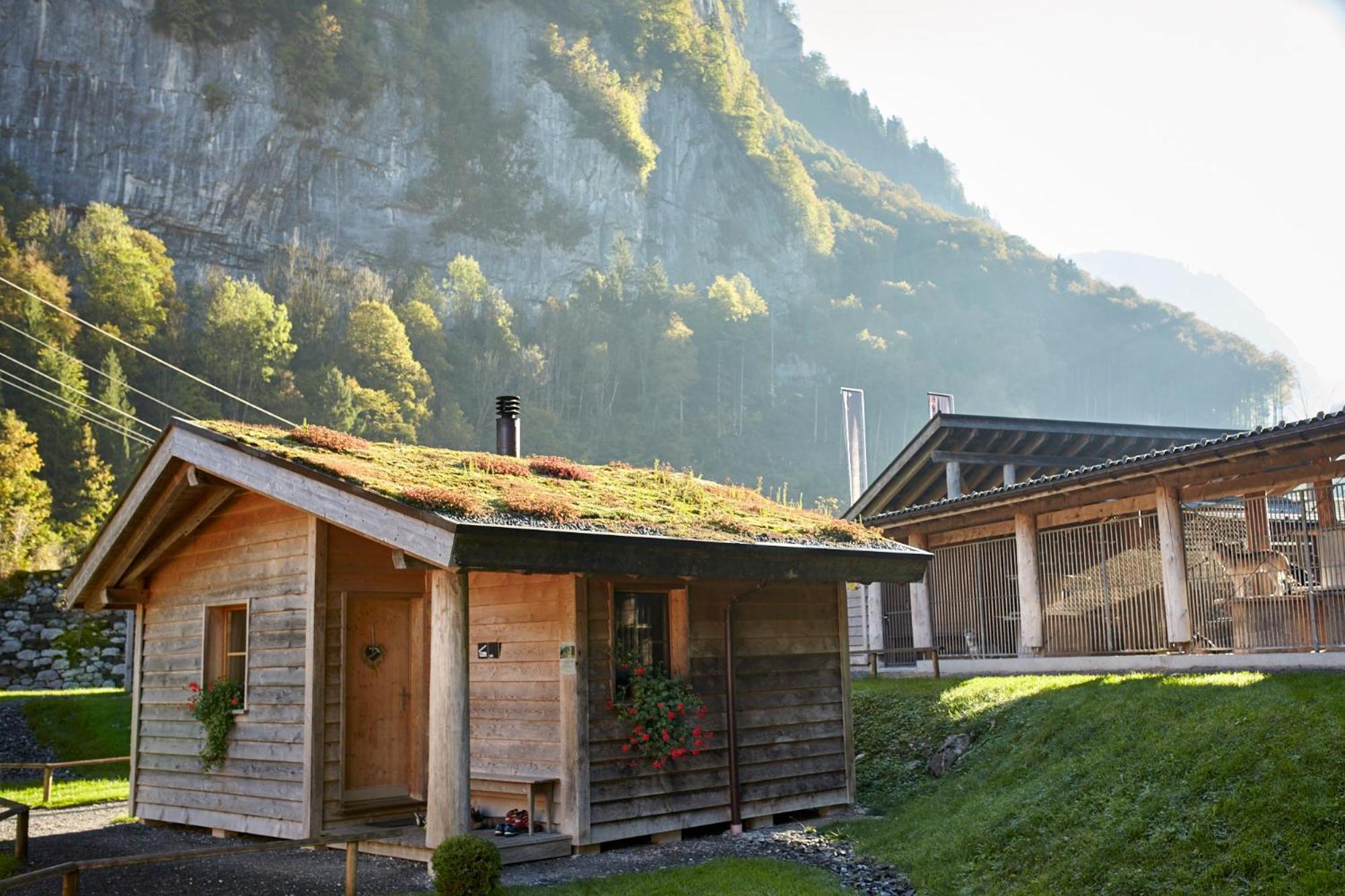 Huettenhotel Husky Lodge Muotathal Luaran gambar